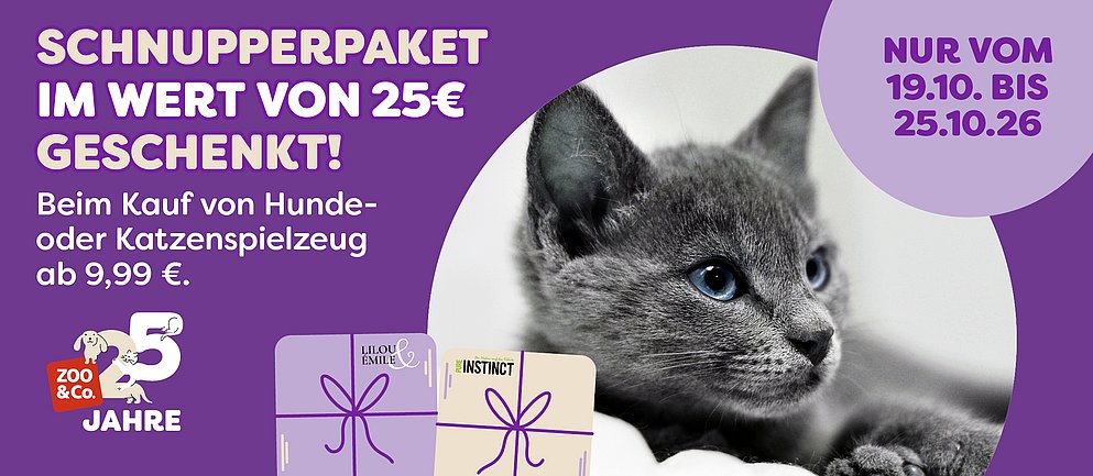 Entdecke die Spielzeugaktion mit einem Exklusivmarkenpaket!