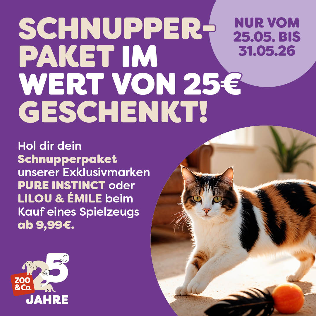 Entdecke die Spielzeugaktion mit einem Exclusivmarkenpaket!